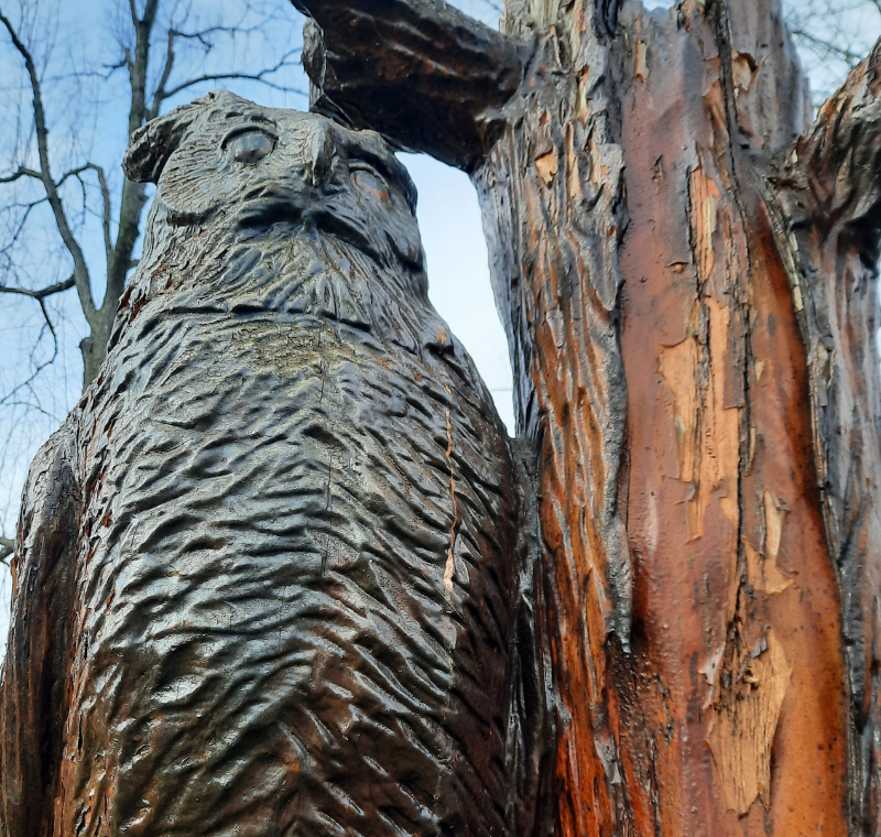 Tree sculpture of owl